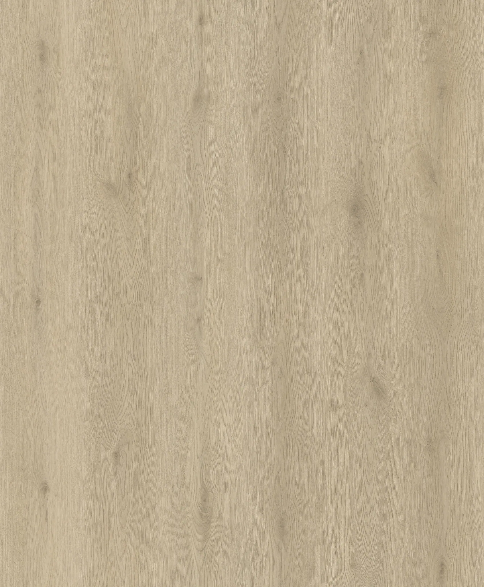 PK1506WP-Ivory Grain Oak view 2