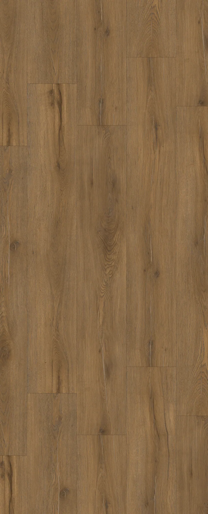 PK1509WP-Autumn Meadow Oak view 2