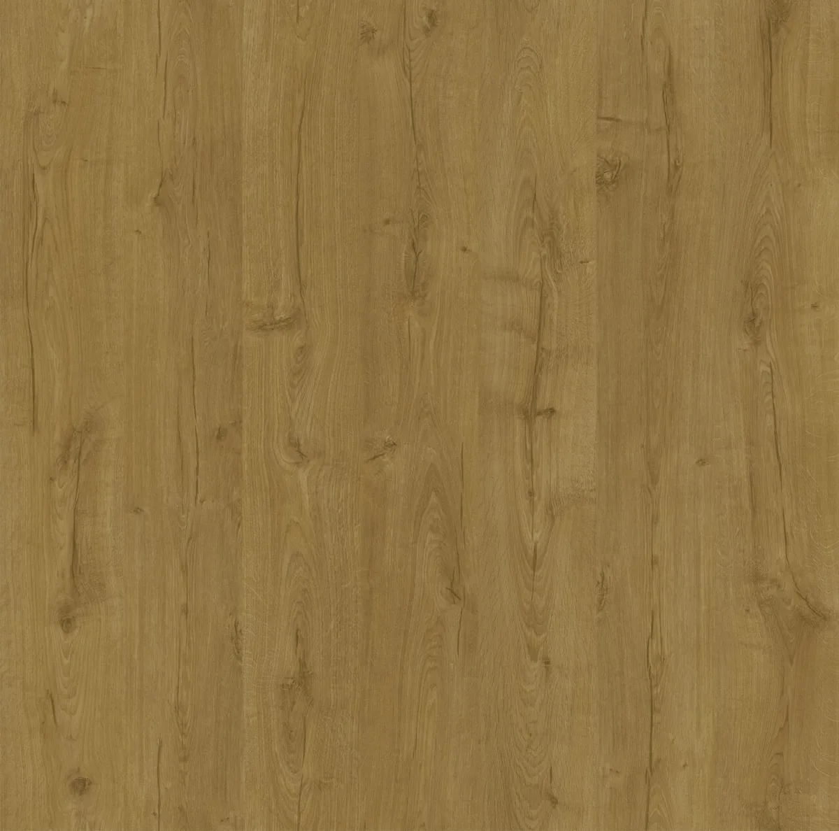 Dusk Oak
