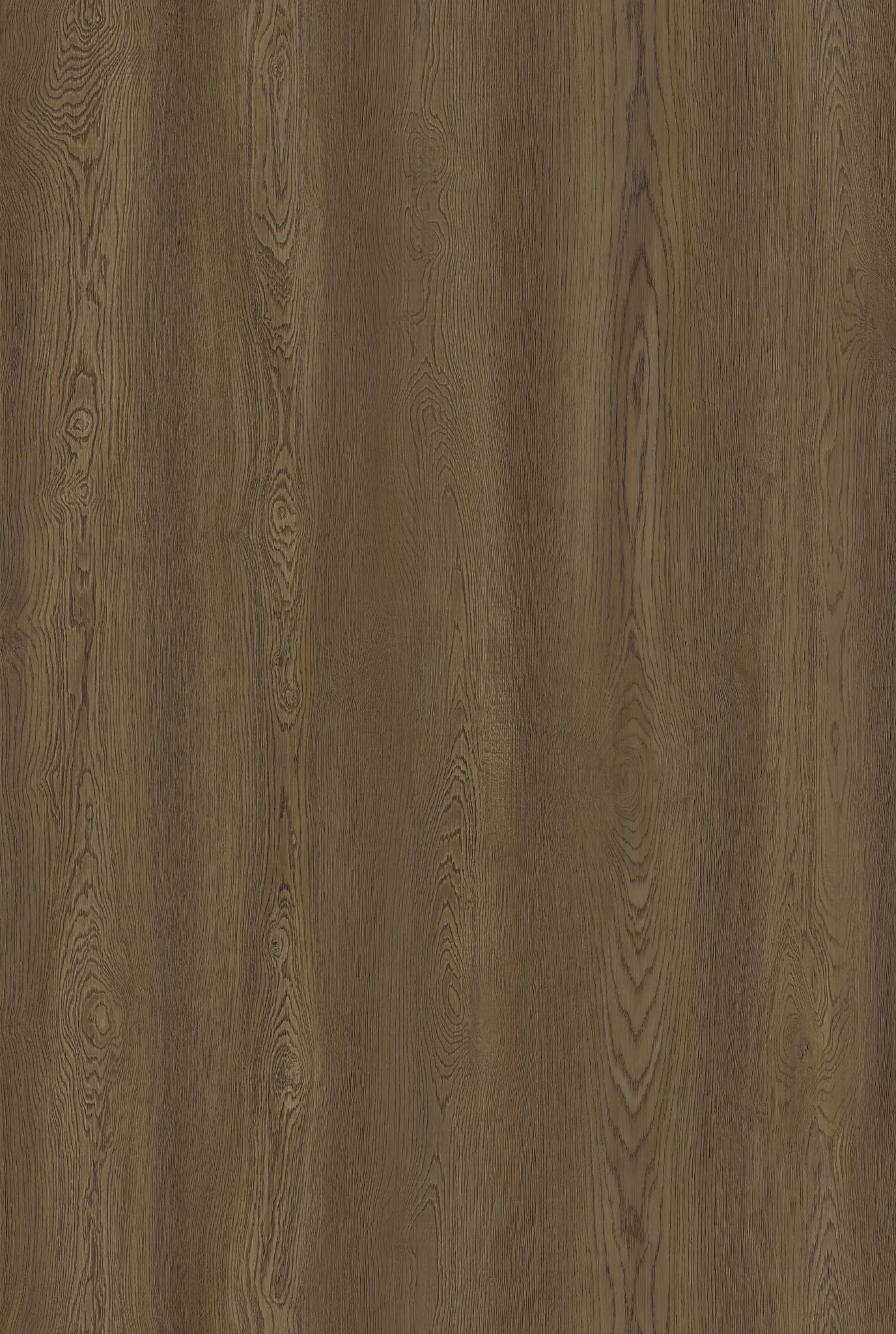 CLEARANCE!!   PK7094WP-Cocoa Oak-43m2 left, $28+gst per m2 view 3