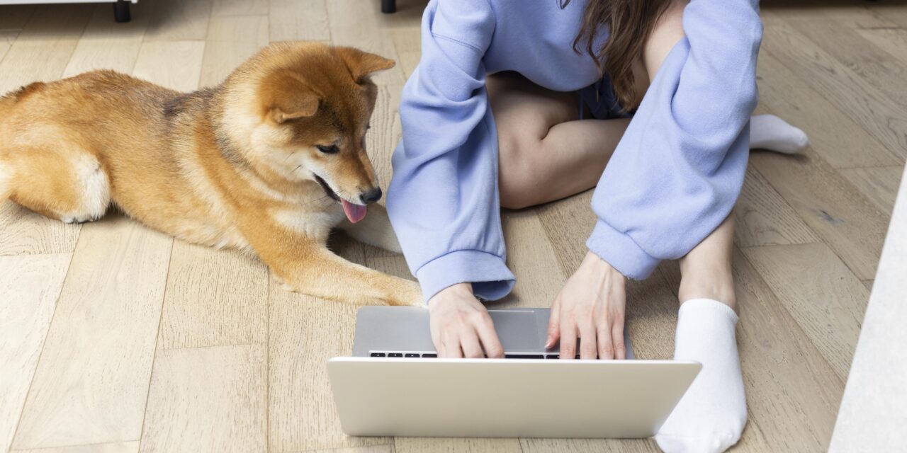 Is Laminate Flooring Pet-Friendly? What NZ Families Need to Know